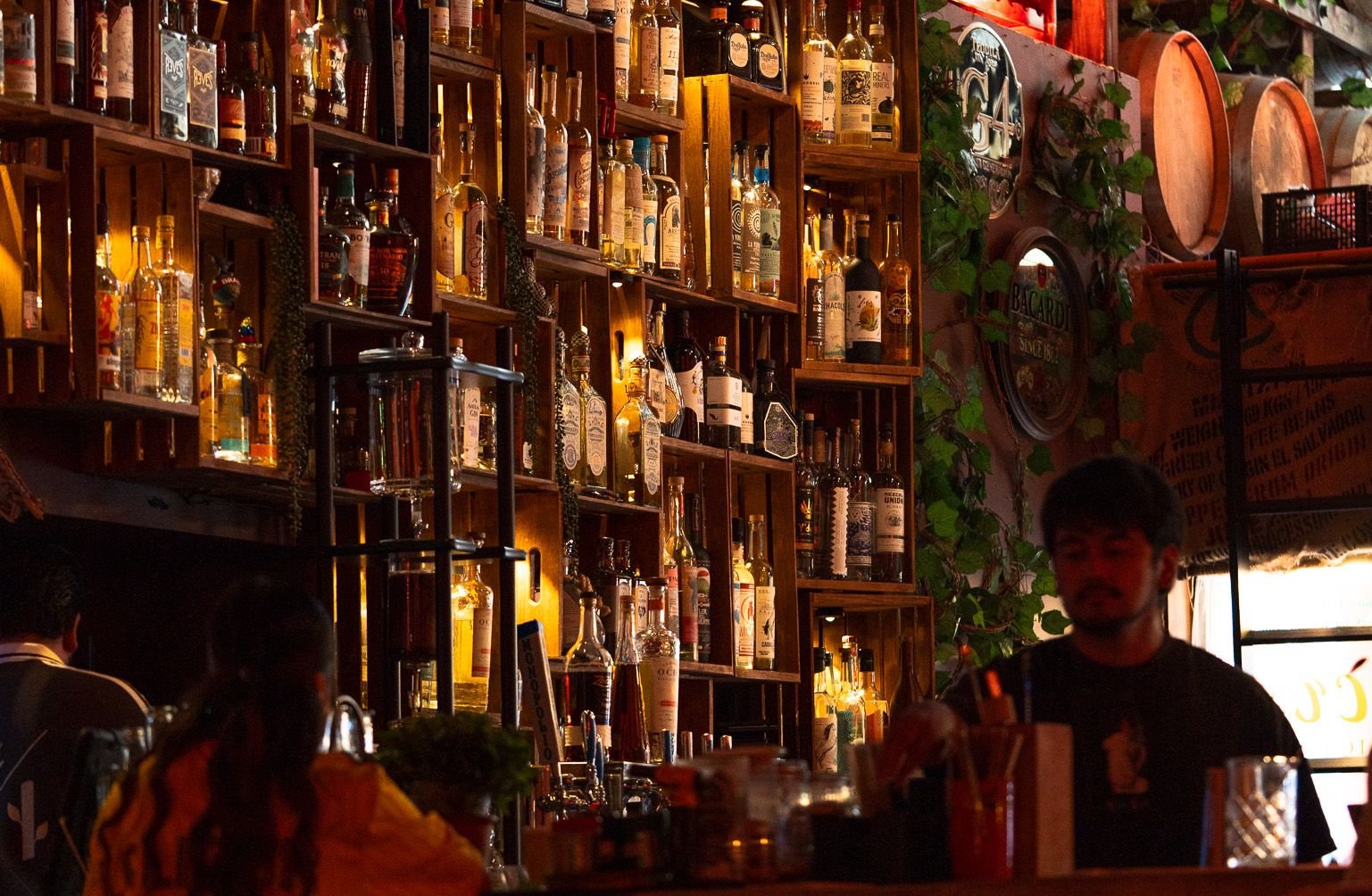 The back bar at La Licor Panamericana in Logan Square, Chicago: wooden crates of tequila, mezcal and rum lit from within, with a bartender working and guests at the bar